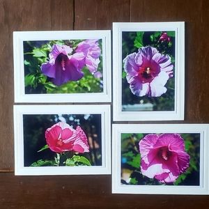 Blank Photo Cards with Envelopes